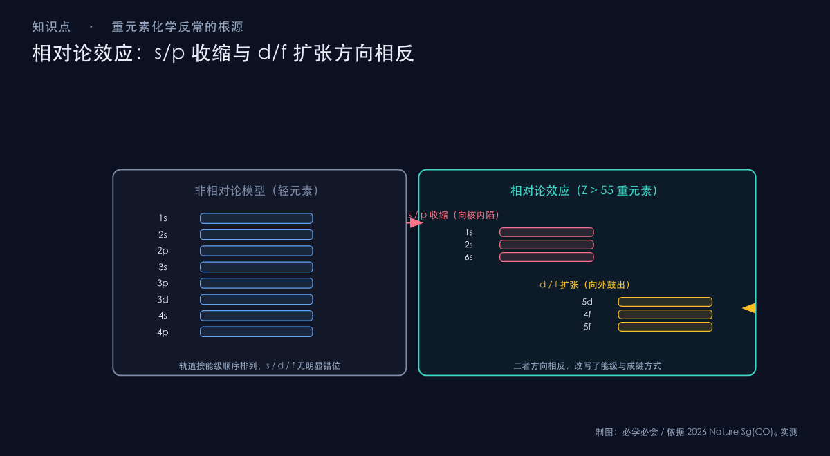 相对论效应示意：s/p 收缩与 d/f 扩张对比