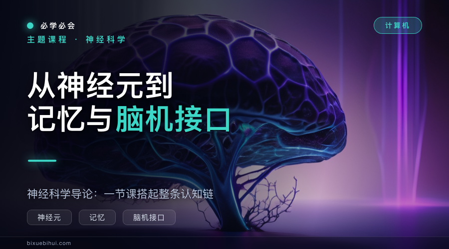 神经科学导论:从神经元到记忆与脑机接口