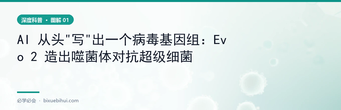 AI 生成噬菌体基因组的流程