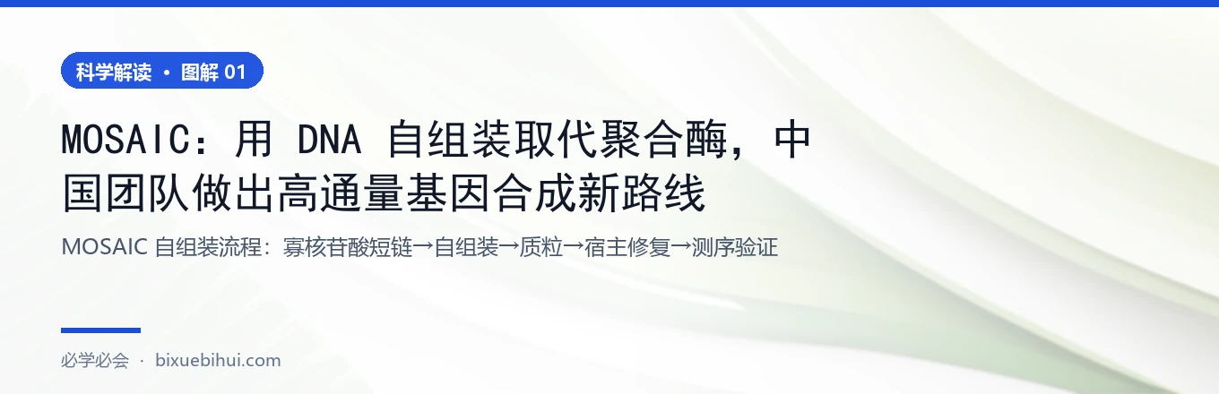 MOSAIC 流程：拆开、自组装、交给细胞补齐