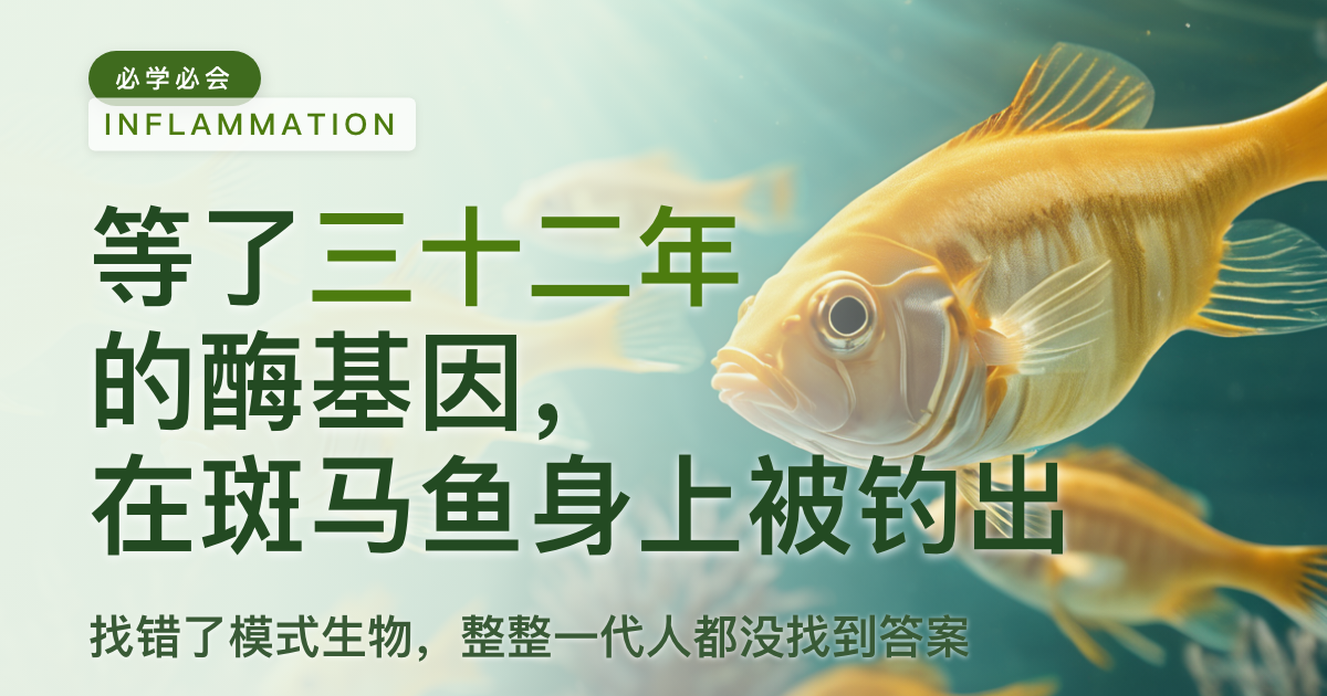 一个等了三十二年的酶基因,终于在斑马鱼身上被钓出来