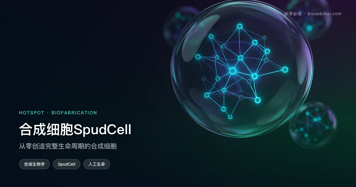 合成细胞SpudCell：从零创造完整生命周期的合成细胞