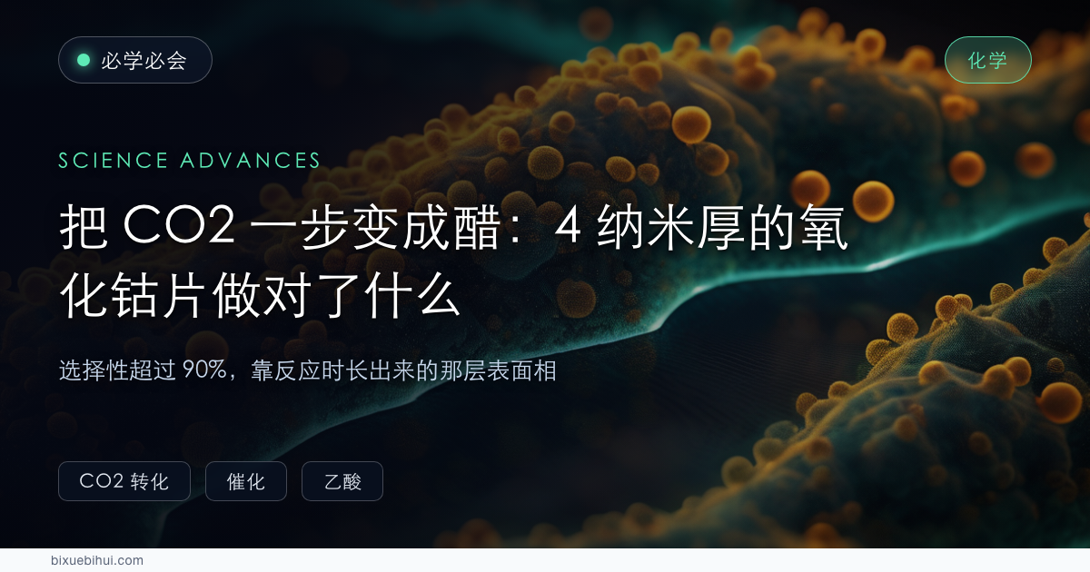 把 CO2 一步变成醋:4 纳米厚的氧化钴片做对了什么