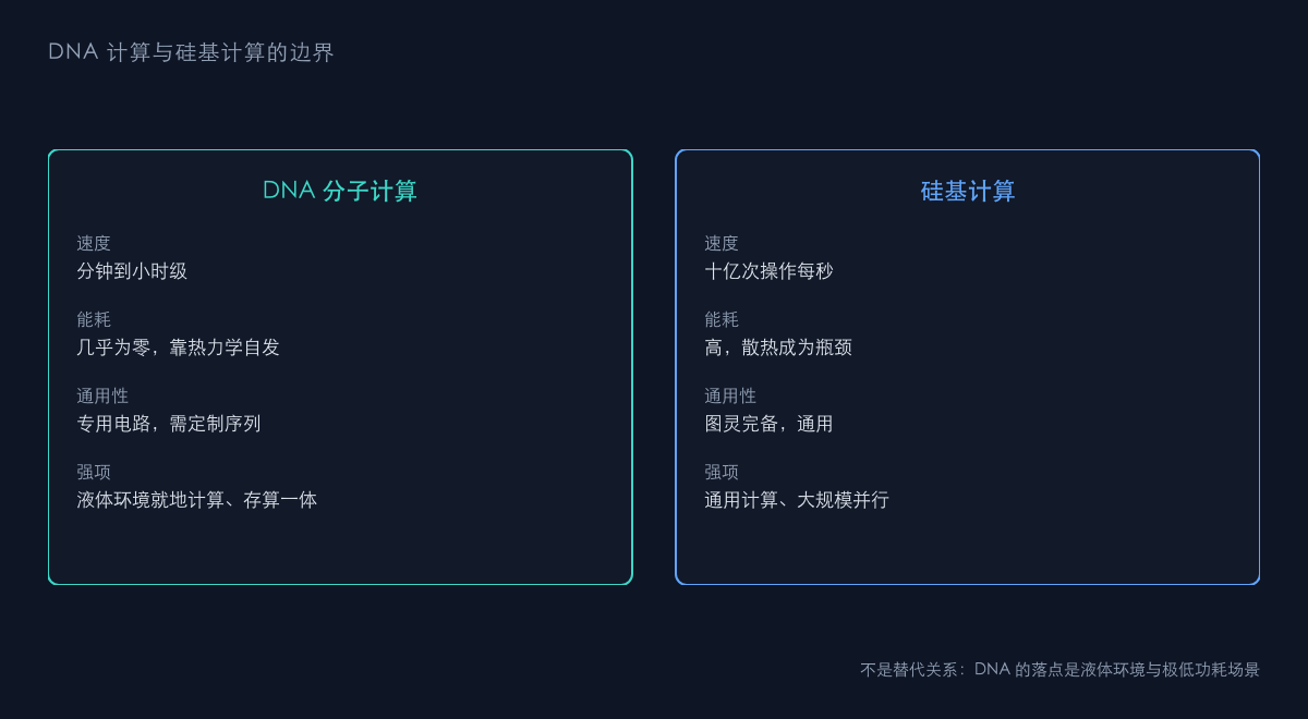 图2：DNA 计算与硅基计算的定位对比