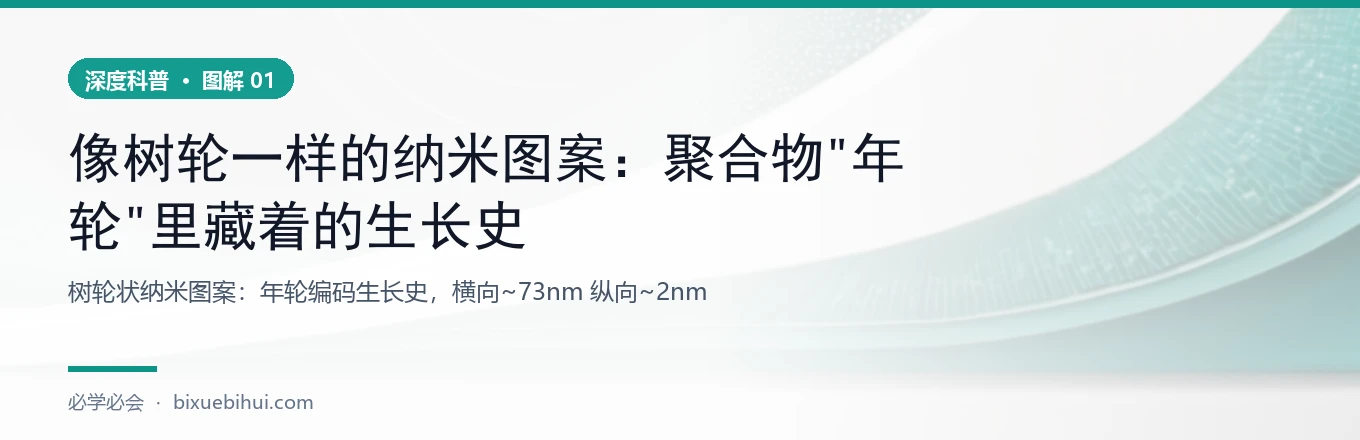 树轮状纳米图案：生长史被