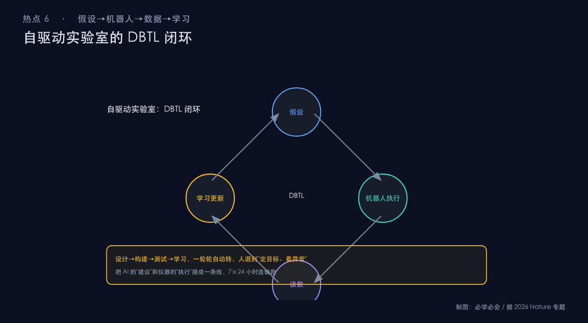 自驱动实验室的 DBTL 闭环