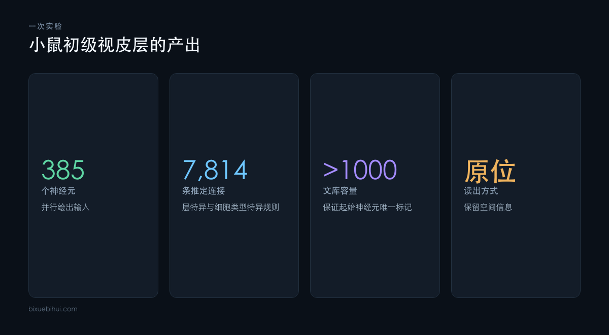 一次实验绘出的神经元与连接数量
