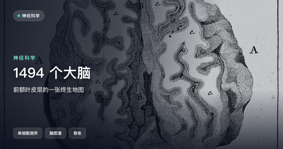 1494 个大脑，630 万份表达谱：一张前额叶皮层的终生地图