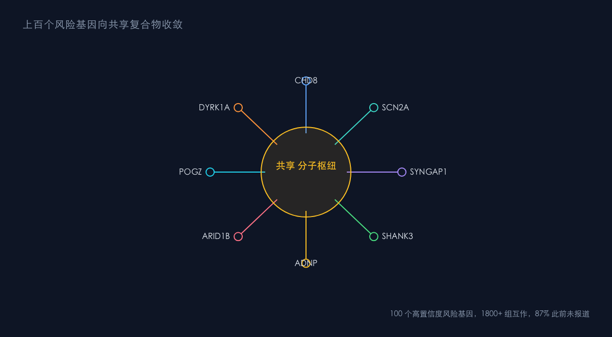 图1：从分散突变到共享枢纽