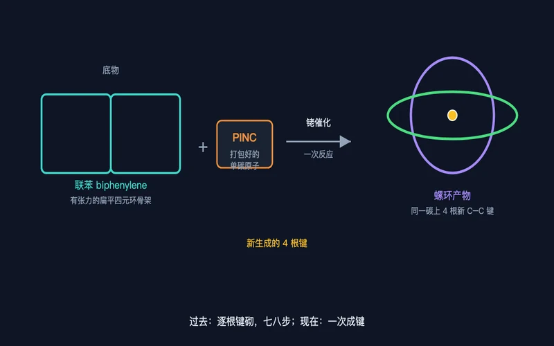 图2：反应前后对比——联苯与 PINC 经铑催化生成螺环，一次形成四根新键