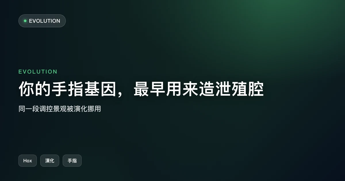 你的手指基因,最早是用来造泄殖腔的