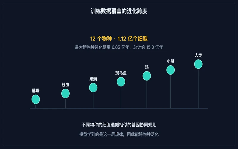 图示：训练数据覆盖的物种跨度，从单细胞酵母延伸到人类
