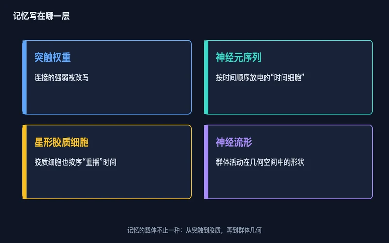 图1：记忆的四种载体——突触权重的强弱、神经元的时间序列、胶质细胞的有序活动、群体活动的流形形状