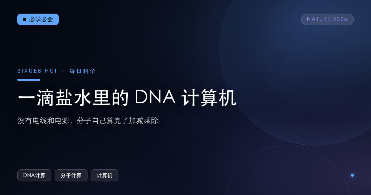 一滴盐水里的 DNA 计算机：没有电线，分子自己算完了加减乘除