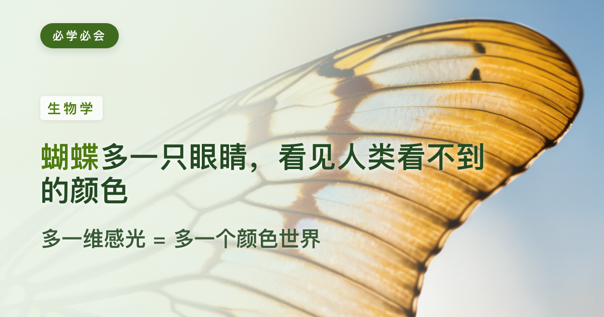 蝴蝶只是多长了一个感光细胞，就看见了人类看不到的颜色