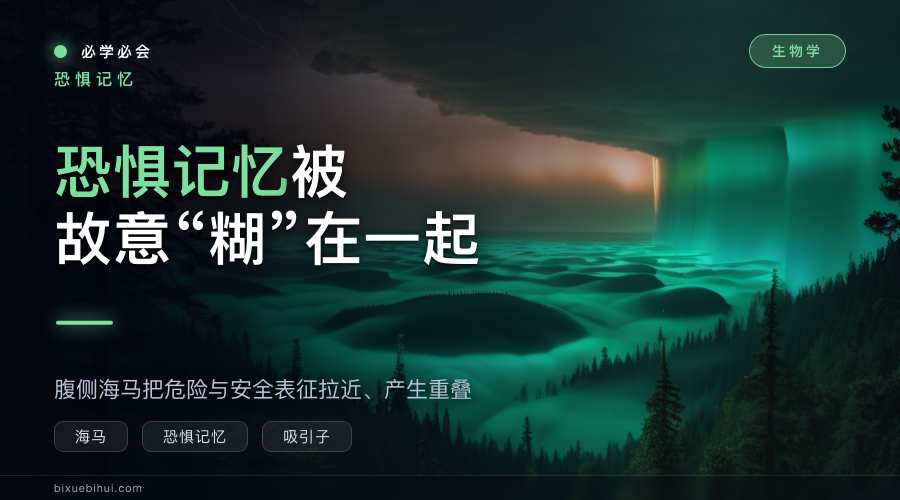 恐惧记忆故意“糊”在一起:腹侧海马把危险和安全拉近
