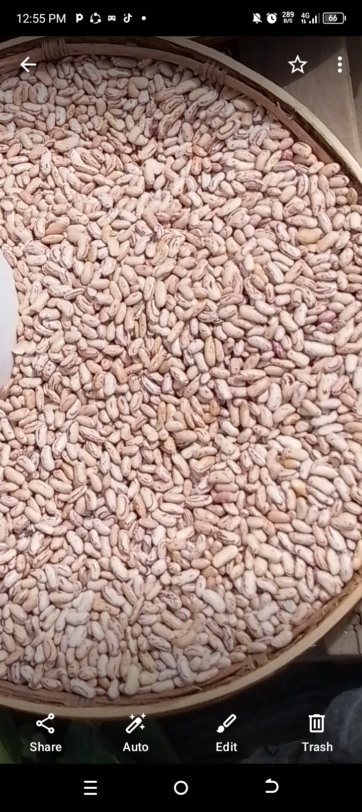 File:Protein food.png