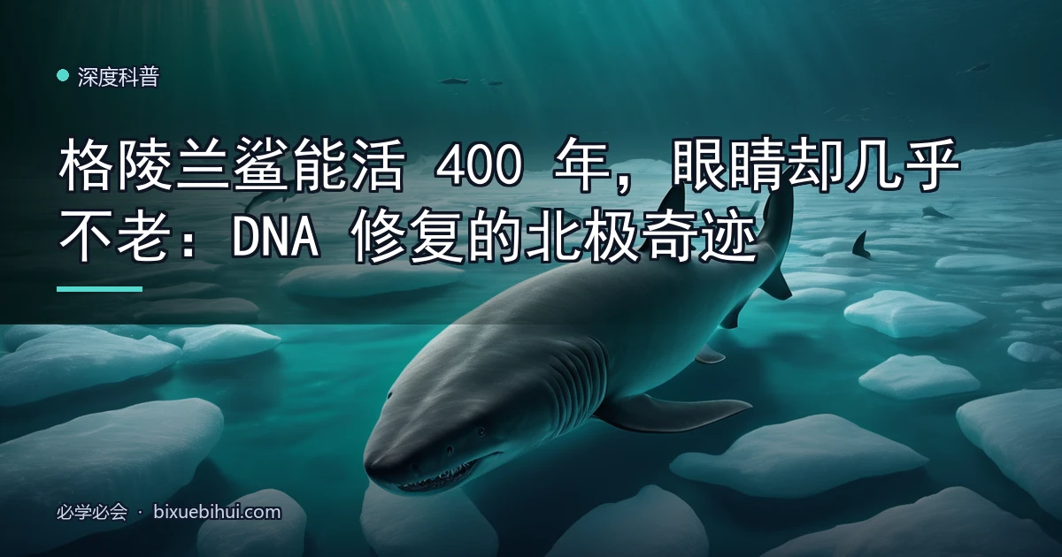 格陵兰鲨能活 400 年,眼睛却几乎不老:DNA 修复的北极奇迹