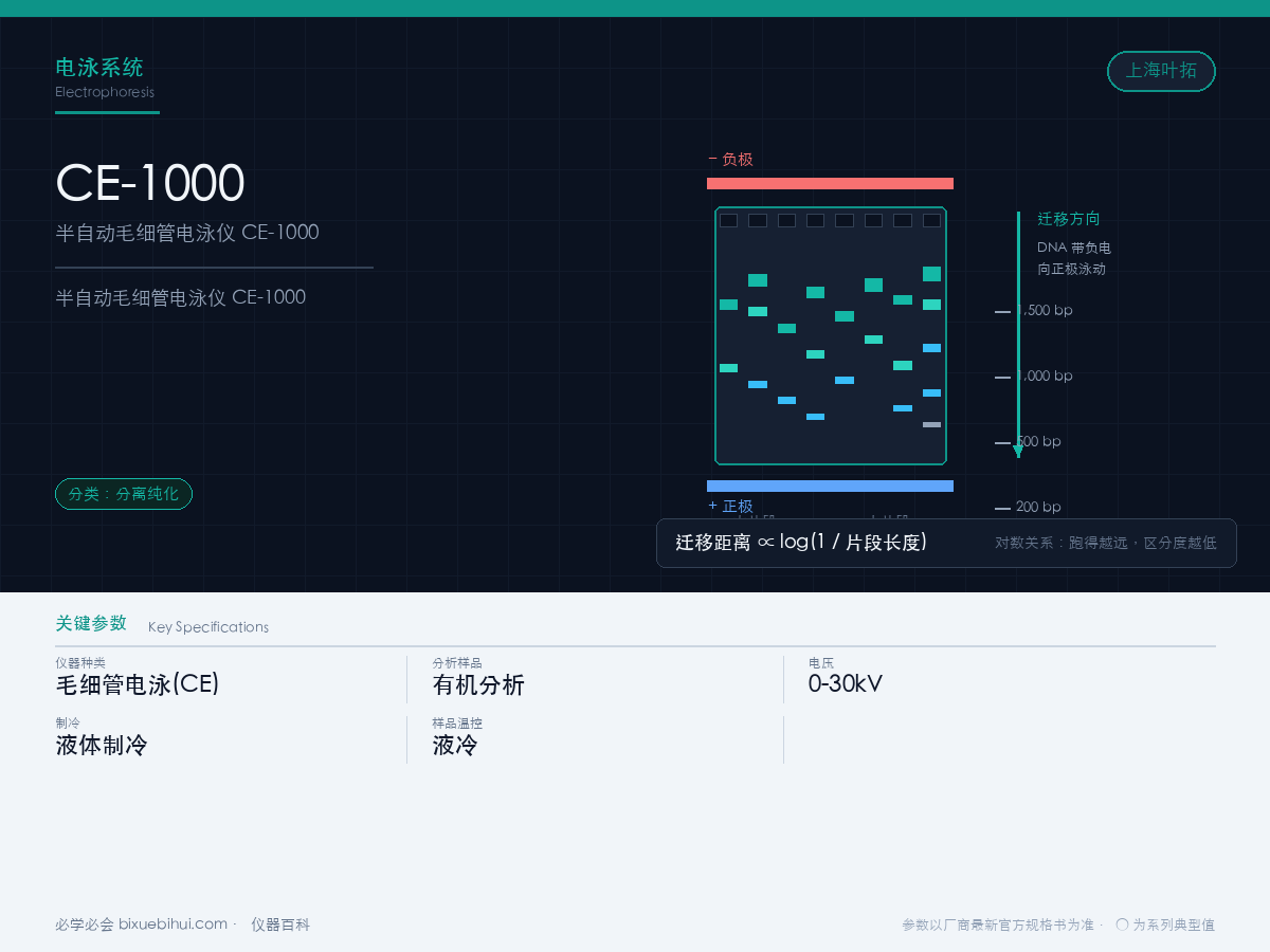 半自动毛细管电泳仪 CE-1000