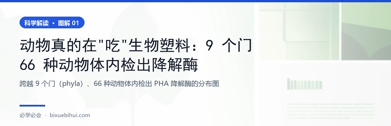 9 个门、66 种动物体内检出 PHA 降解酶