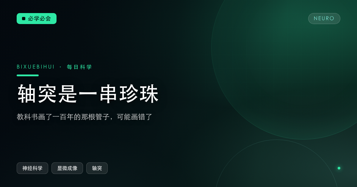 教科书画了一百年的轴突,可能画错了