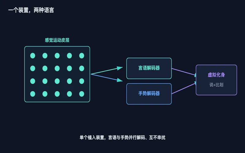 图1:感觉运动皮层上的单个电极阵列,并行解码言语与手势两类信号,驱动虚拟化身