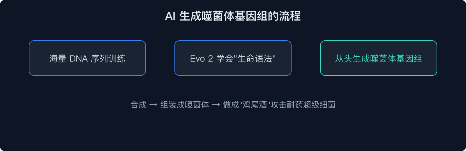 AI 生成噬菌体基因组的流程