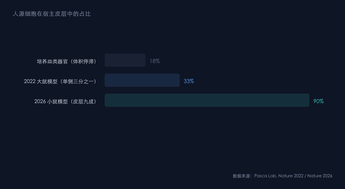 图1:从大鼠到小鼠的移植规模对比