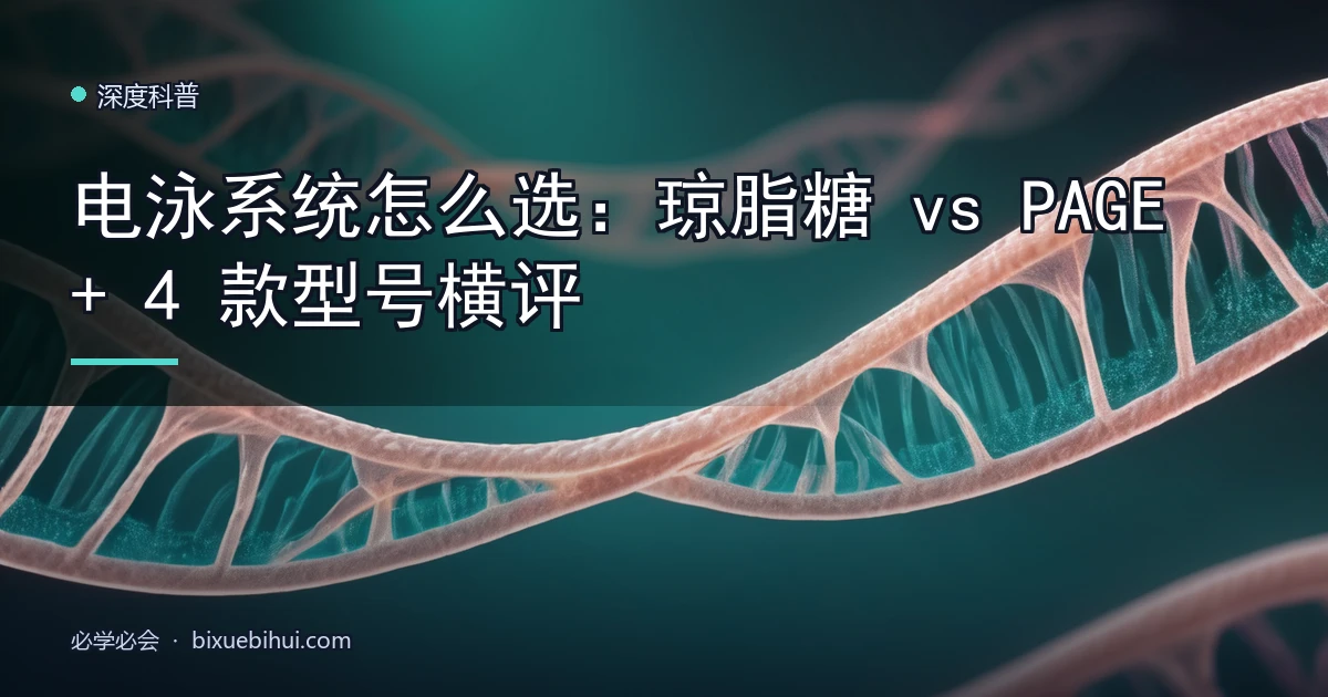 电泳系统怎么选:琼脂糖 vs PAGE + 4 款型号横评
