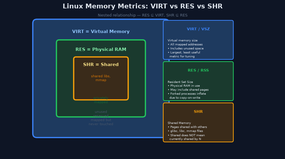 图2：内存指标VIRT/RES/SHR