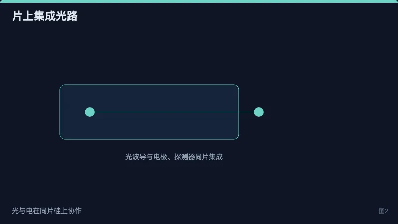 图2：片上光波导与电极、探测器的集成剖面