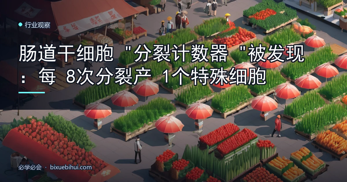肠道干细胞"分裂计数器"被发现:每8次分裂产1个特殊细胞