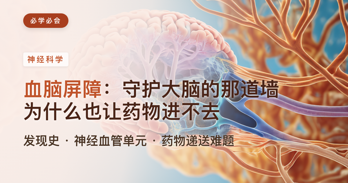 血脑屏障简史：一道守护大脑、却让药物最头疼的墙