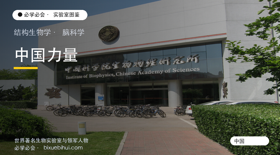 中国力量:从跟跑到并跑的结构生物学与脑科学