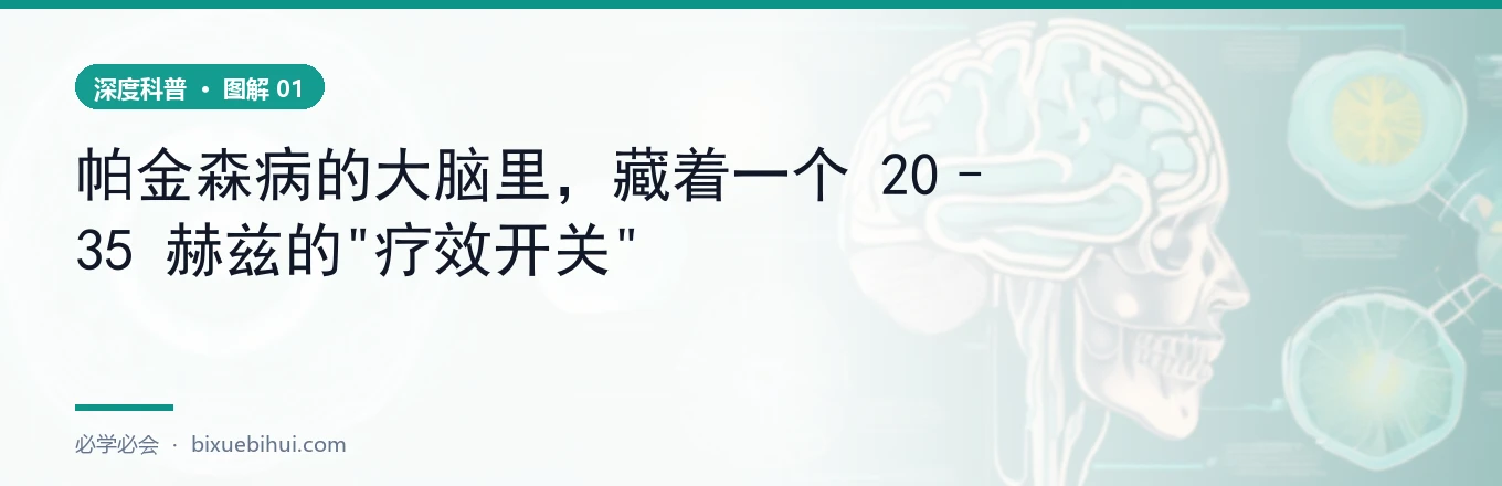 DBS 应答网络：空间 × 时间
