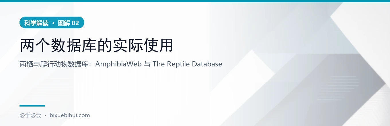图 2：The Reptile Database 的爬行动物分类概览（种数）
