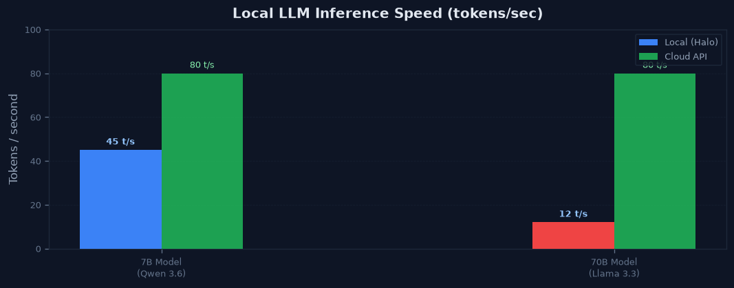 图2：本地 LLM 推理速度