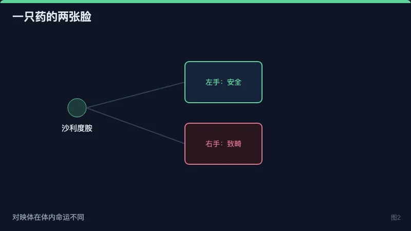 沙利度胺对映体命运分叉