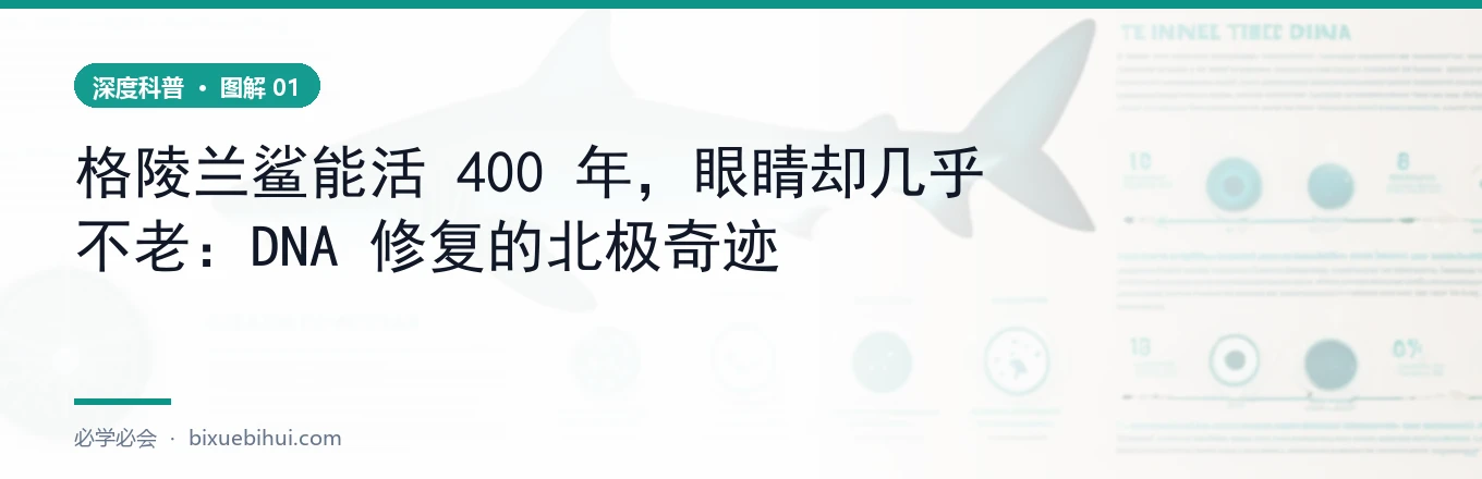 一条 400 年寿命的视网膜，为什么不退化