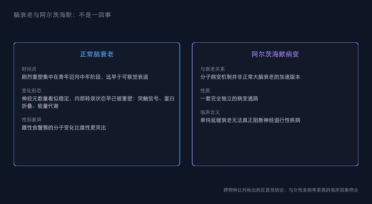 图2：脑衰老与阿尔茨海默不是一回事