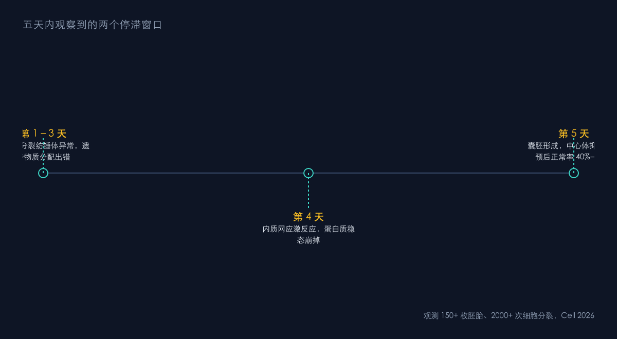 图2:五天内观察到的两类发育停滞