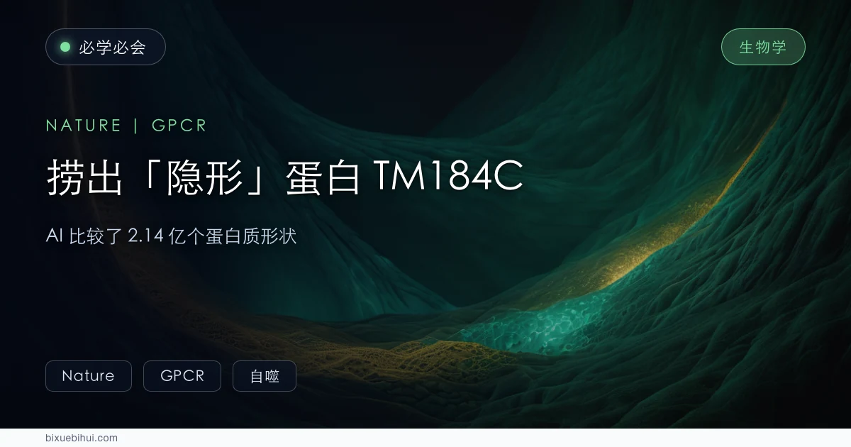 AI 翻遍 2.14 亿个蛋白质形状,捞出人体中一个"隐形"蛋白 TM184C