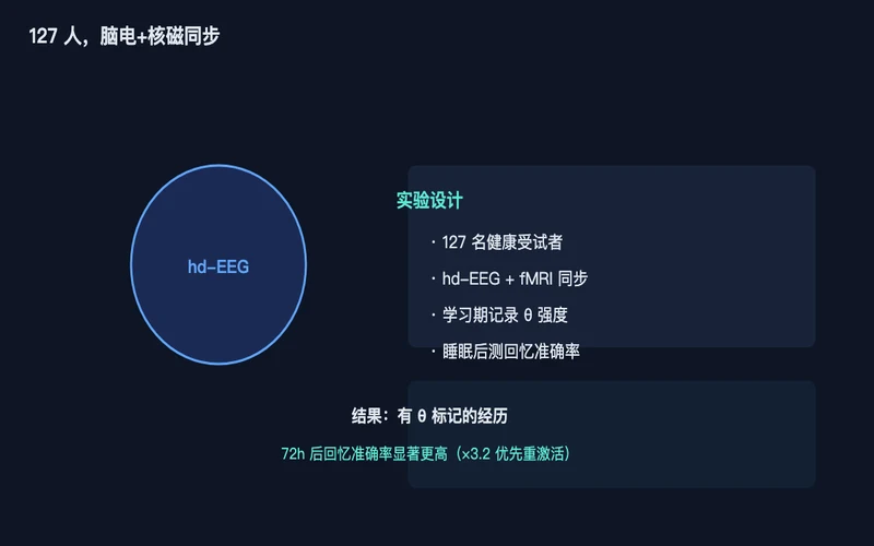 图2：127 名受试者、hd-EEG + fMRI 同步实验设计，验证 θ 标签与回忆准确率的关联