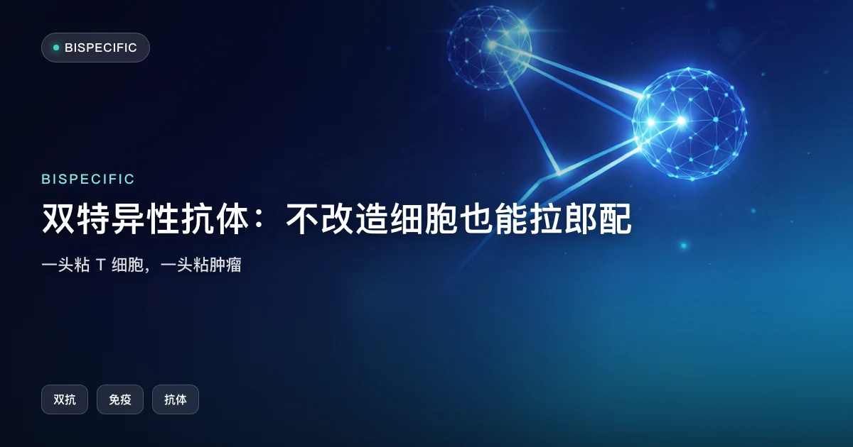 双特异性抗体:不改造细胞,也能把免疫和肿瘤"拉郎配"