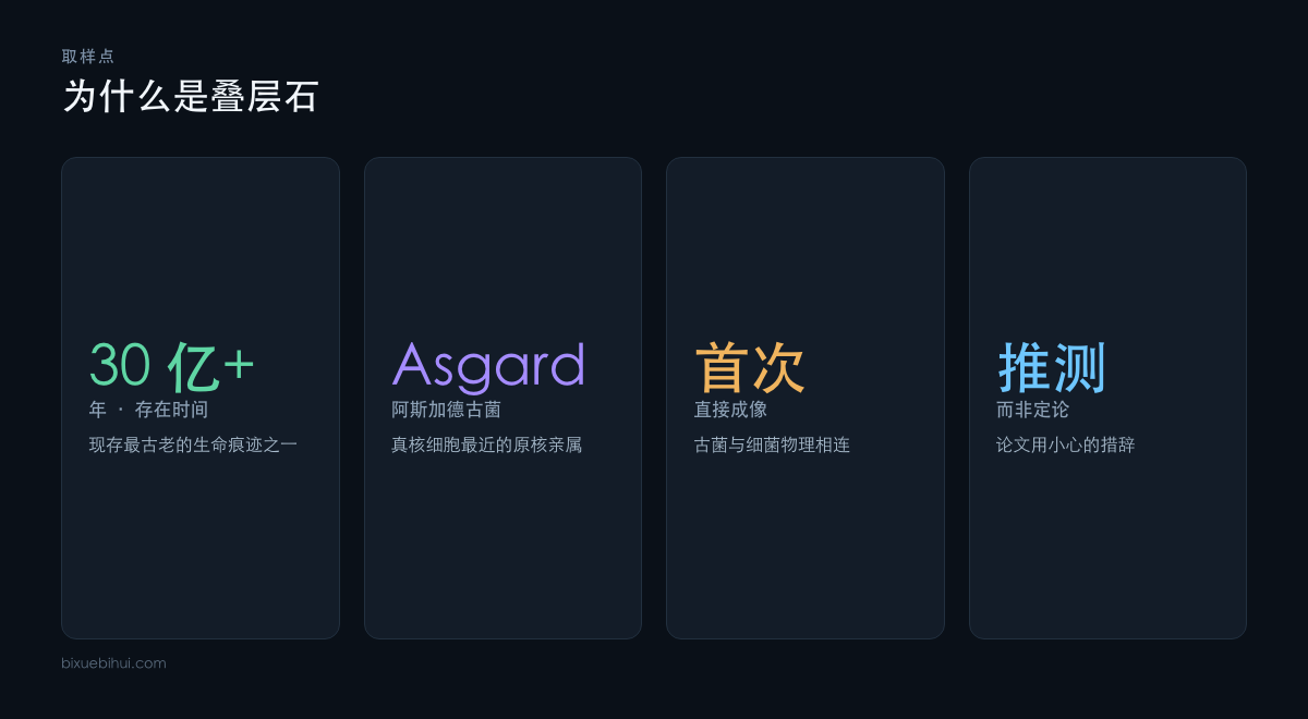叠层石作为取样点的价值与本次成像的边界