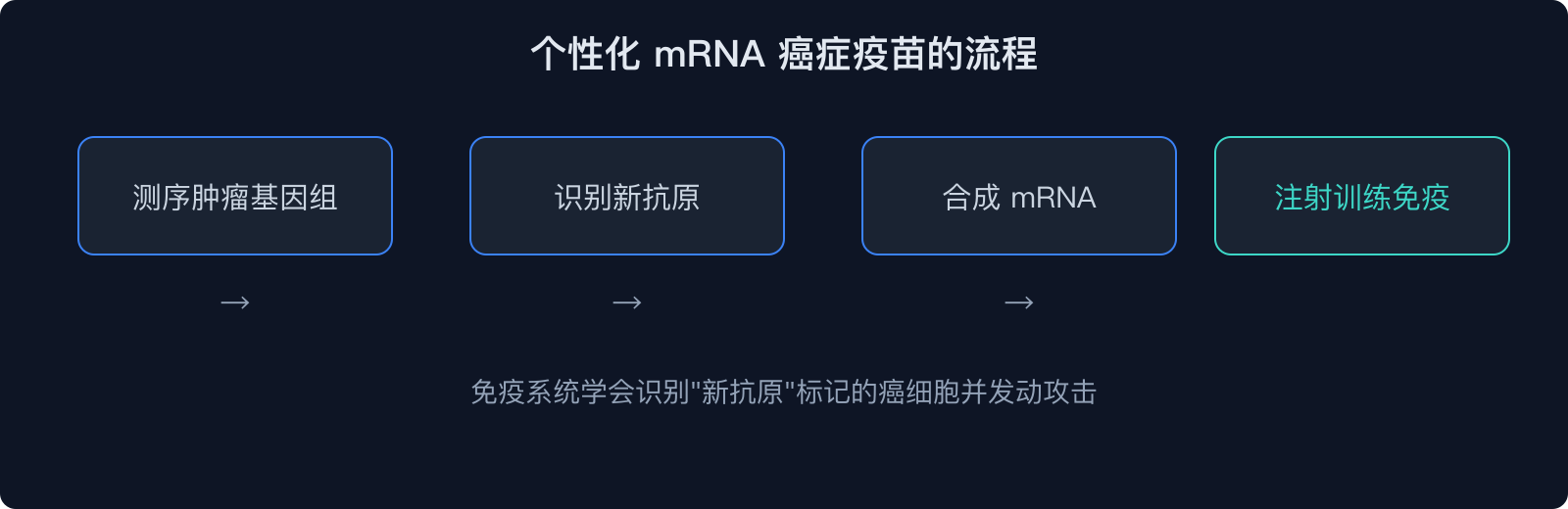 个性化 mRNA 癌症疫苗的流程