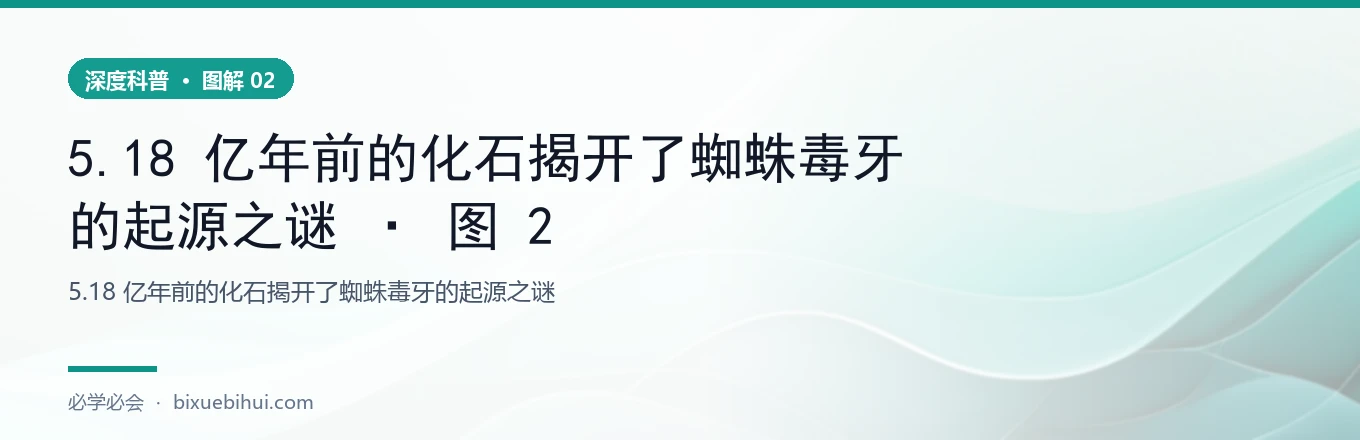 5.18 亿年前的化石揭开了蜘蛛毒牙的起源之谜 · 图 2