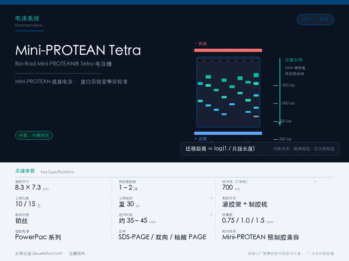 Bio-Rad Mini-PROTEAN® Tetra 电泳槽