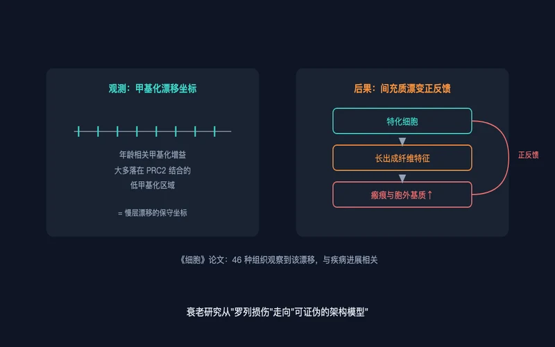 图3：甲基化漂移坐标与间充质漂变的正反馈