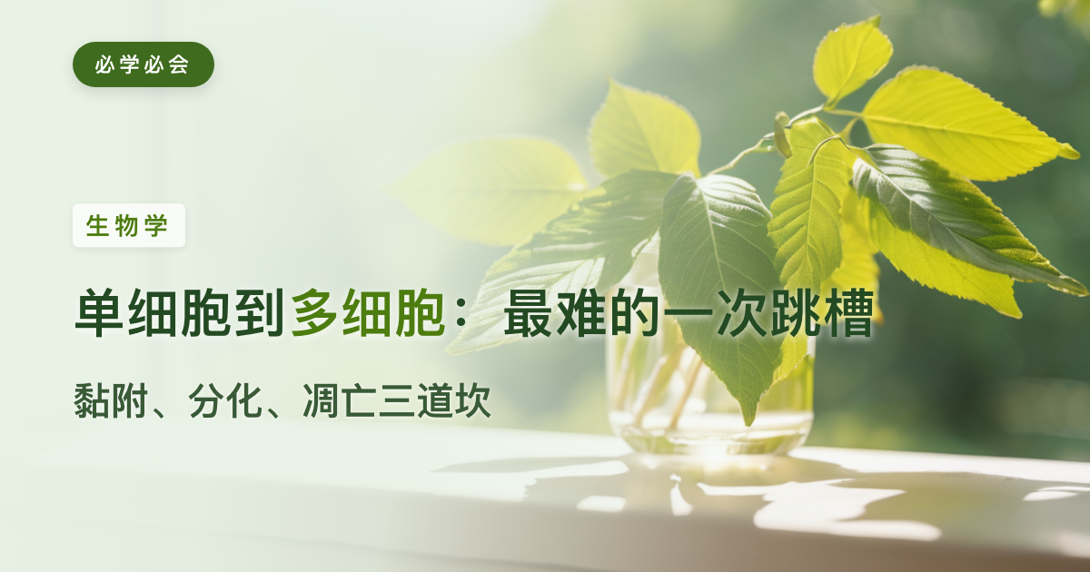 从单细胞到多细胞：生命最难的一次"跳槽"是怎么完成的